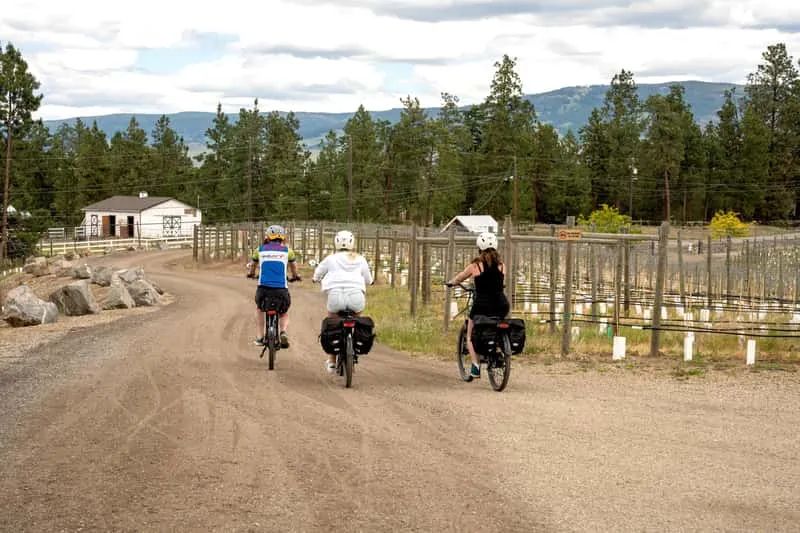 Cyclists on e-bikes riding past Okanagan vineyards on a guided Kelowna bicycle wine tour through wine country